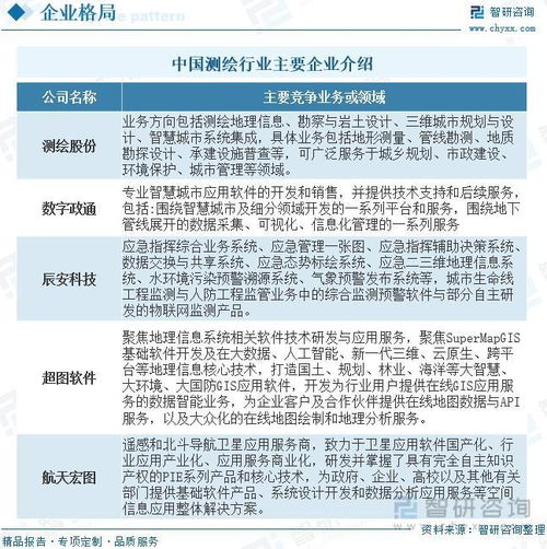 2023年测绘行业投资热点及未来发展趋势预测报告——聚焦信息系统集成服务